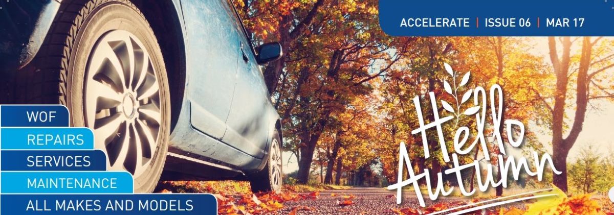 waverley motors march newsletter 2017